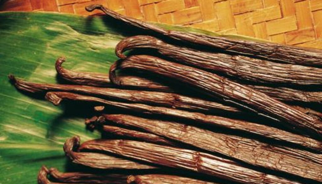 raiatea-blue-lagoon-vanilla00001