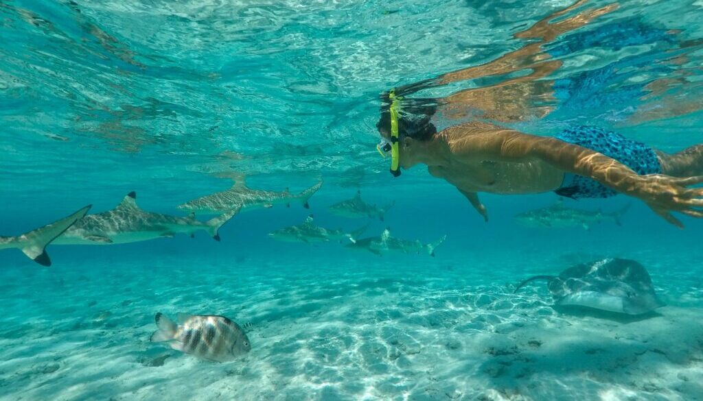 raiatea-blue-lagoon-vanilla00002